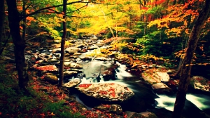 appalachian-trail-hike_zps74d0dc05