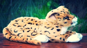 jaguarhn_zps9685273c